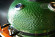 Керамический гриль SG с окошком, 57 см / 22 дюйма (зеленый) (Start Grill) в Перми